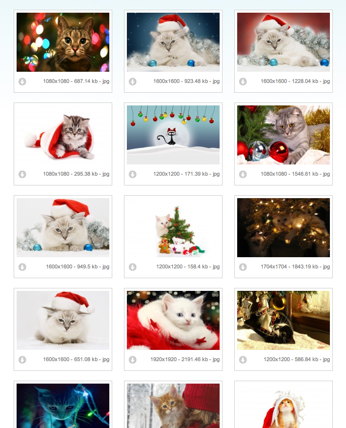 クリスマス猫の壁紙ダウンロード ネコまにあ 猫動画や癒し猫 面白い猫 萌える猫など