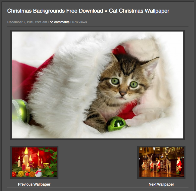 クリスマス猫の壁紙ダウンロード ネコまにあ 猫動画や癒し猫 面白い猫 萌える猫など