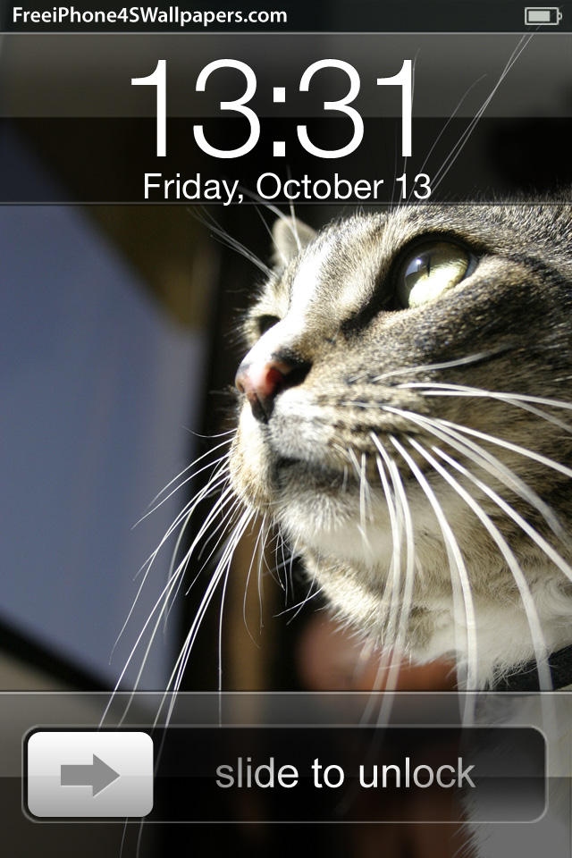Iphoneのロック画面にぴったりな 猫壁紙 ネコまにあ 猫動画や癒し猫 面白い猫 萌える猫など