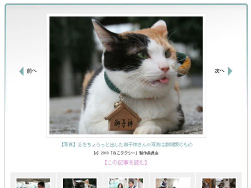 ねこタクシーの御子神 みこがみ さん ネコまにあ 猫動画や癒し猫 面白い猫 萌える猫など